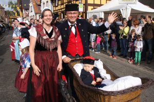 bilder schees