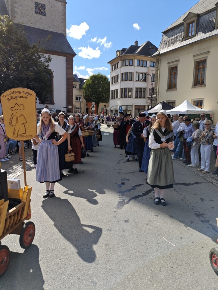 IMG_20240908_155607_1