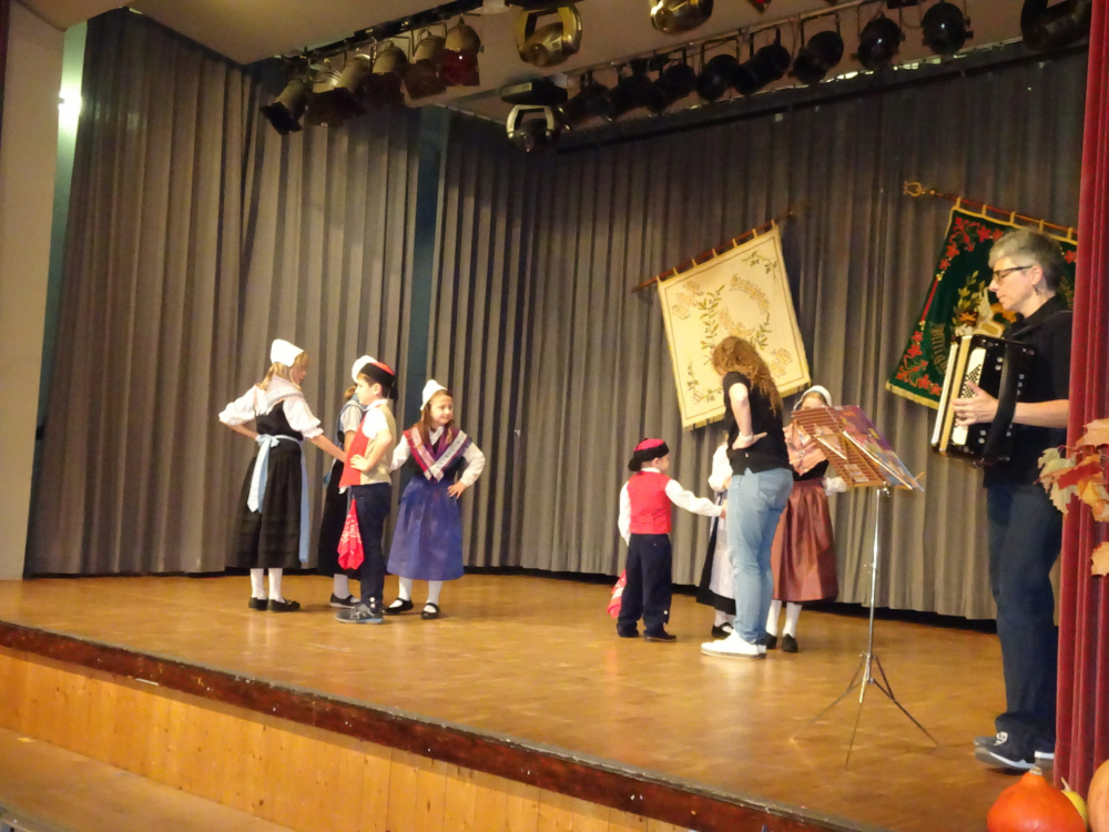 Konzert Billigheim 09.11.2019 -2